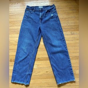 Everlane Way High Jeans Size 31